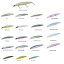 Daiwa Shore Line Shiner Z Vertice 97F (Katacuchi RB)